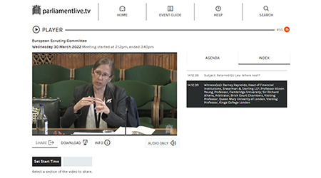 Alison Young giving evidence